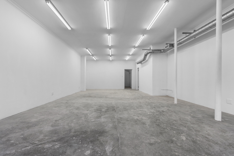 To Let commercial Property for Rent in Salt River Western Cape